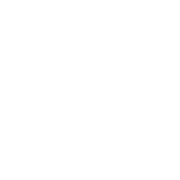 100_money_back